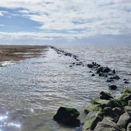 Nordseeglueck - Modern Und Ruhig Mit Sauna * Cappel-Neufeld