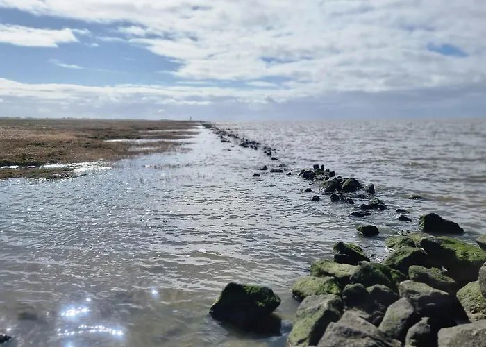 Nordseeglueck - Modern Und Ruhig Mit Sauna * Cappel-Neufeld